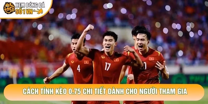 Cách Tính Kèo 0.75 Chi Tiết Dành Cho Người Tham Gia